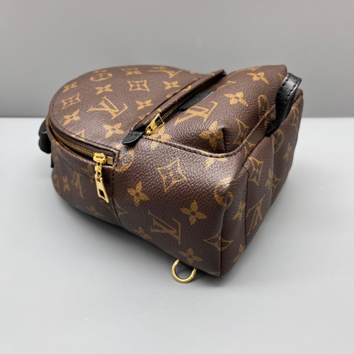 Louis Vuitton Palm Springs Backpack Mini Monogram Brown