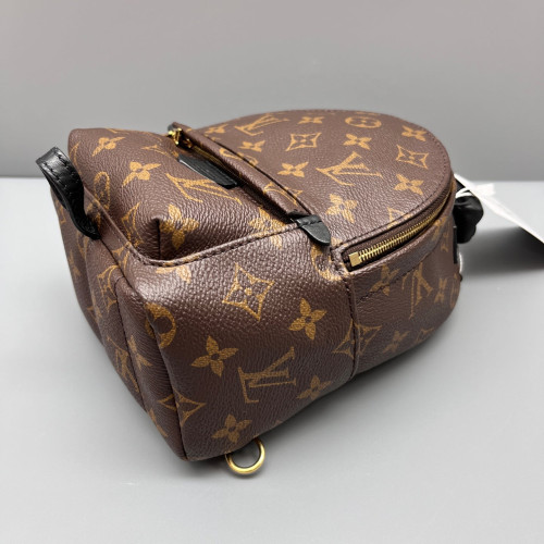 Louis Vuitton Palm Springs Backpack Mini Monogram Brown