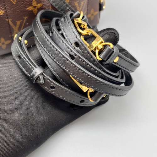 Louis Vuitton Palm Springs Backpack Mini Monogram Brown
