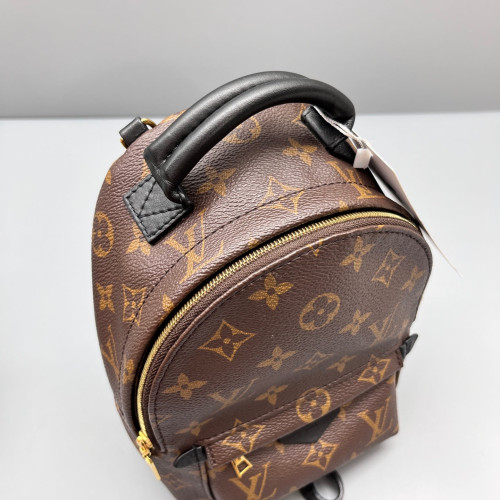 Louis Vuitton Palm Springs Backpack Mini Monogram Brown