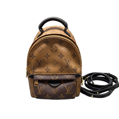 Louis Vuitton Palm Springs Backpack Mini Monogram Brown