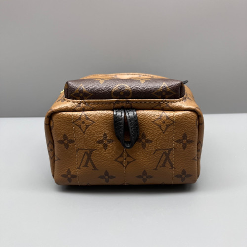 Louis Vuitton Palm Springs Backpack Mini Monogram Brown