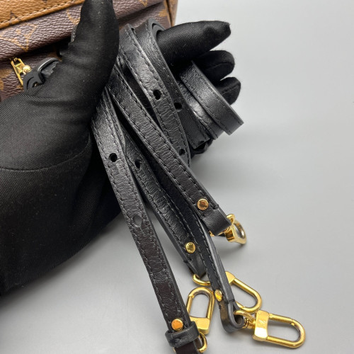 Louis Vuitton Palm Springs Backpack Mini Monogram Brown