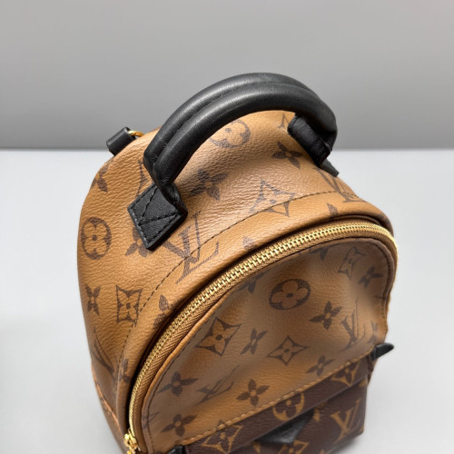 Louis Vuitton Palm Springs Backpack Mini Monogram Brown