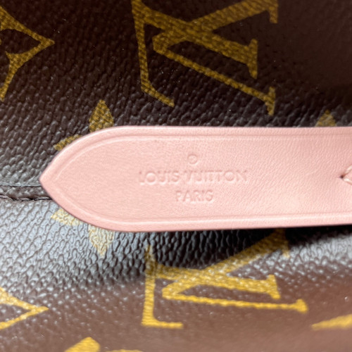 Louis Vuitton Neonoe MM Monogram Brown