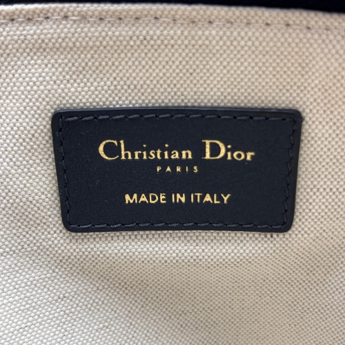 Dior Bill Pouch Oblique Blue Beige