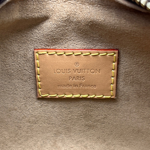 Louis Vuitton Loop Monogram Brown