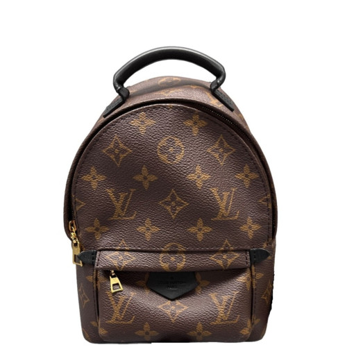 Louis Vuitton Palm Springs Backpack Mini Monogram Brown