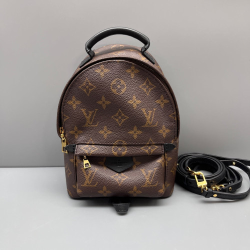 Louis Vuitton Palm Springs Backpack Mini Monogram Brown