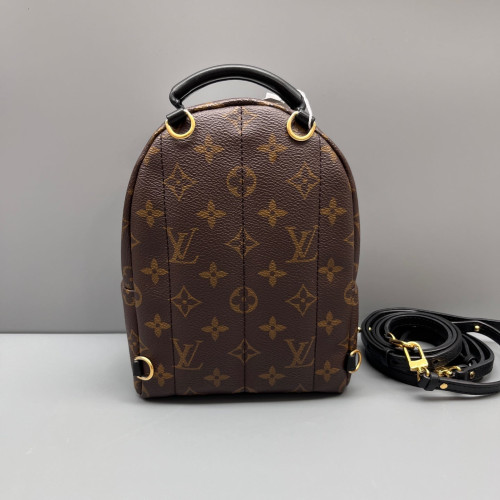 Louis Vuitton Palm Springs Backpack Mini Monogram Brown
