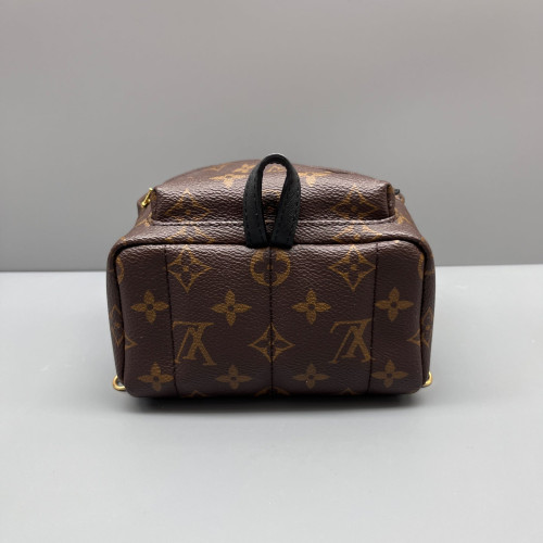 Louis Vuitton Palm Springs Backpack Mini Monogram Brown