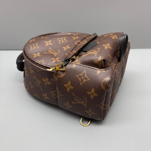 Louis Vuitton Palm Springs Backpack Mini Monogram Brown