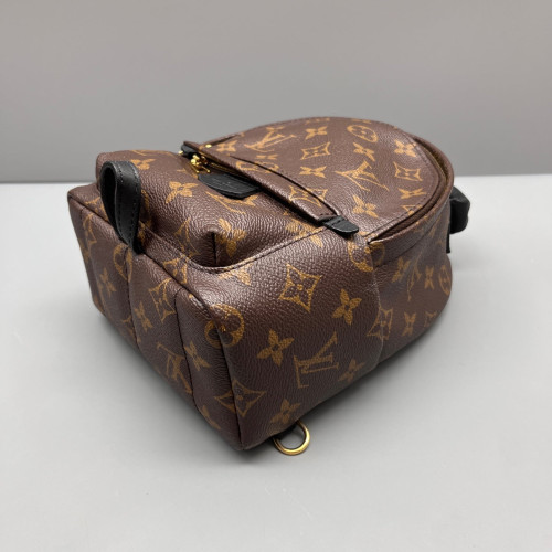 Louis Vuitton Palm Springs Backpack Mini Monogram Brown