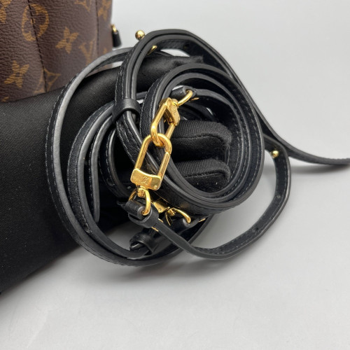 Louis Vuitton Palm Springs Backpack Mini Monogram Brown