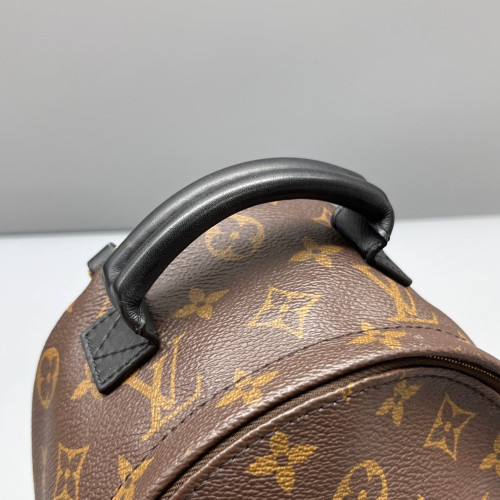 Louis Vuitton Palm Springs Backpack Mini Monogram Brown