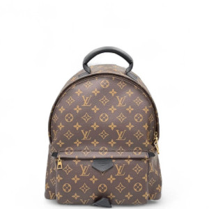 Louis Vuitton Palm Springs Backpack MM Monogram Brown
