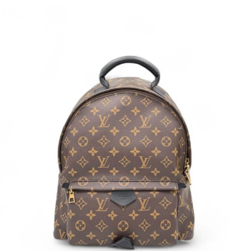 Louis Vuitton Palm Springs Backpack MM Monogram Brown