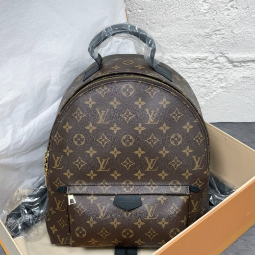 Louis Vuitton Palm Springs Backpack MM Monogram Brown