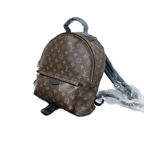 Louis Vuitton Palm Springs Backpack MM Monogram Brown
