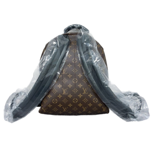 Louis Vuitton Palm Springs Backpack MM Monogram Brown