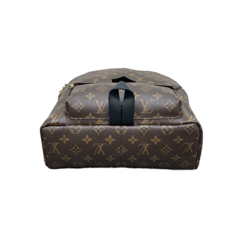 Louis Vuitton Palm Springs Backpack MM Monogram Brown