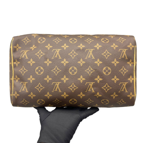 Louis Vuitton Speedy 30 Monogram Brown