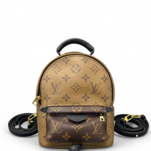 Louis Vuitton Palm Springs Backpack Mini Reverse Monogram Brown Black