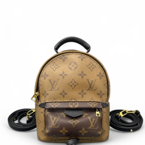 Louis Vuitton Palm Springs Backpack Mini Reverse Monogram Brown Black