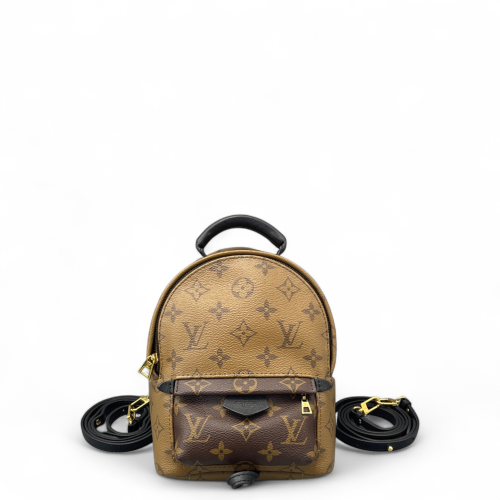 Louis Vuitton Palm Springs Backpack Mini Reverse Monogram Brown Black