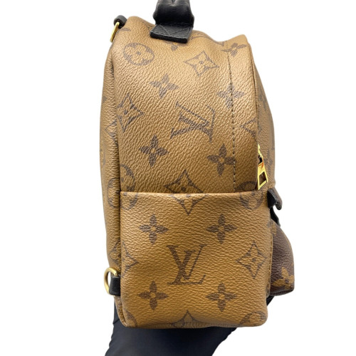 Louis Vuitton Palm Springs Backpack Mini Reverse Monogram Brown Black