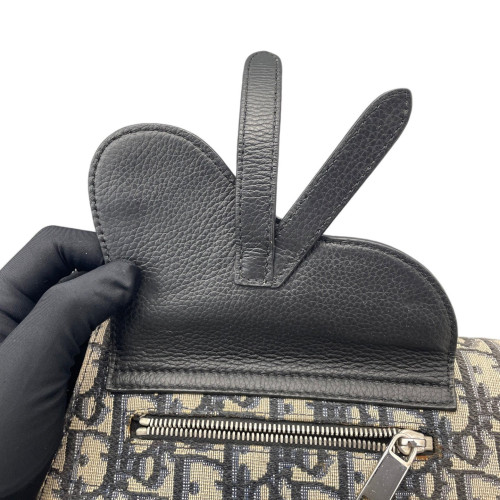 Dior Saddle Messenger Pouch Oblique Blue