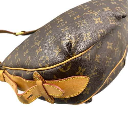 Louis Vuitton Tulum Hobo PM Monogram Brown