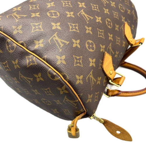 Louis Vuitton Speedy 30 Monogram Brown