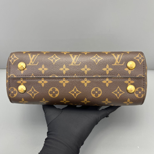 Louis Vuitton Cluny Bb Monogram Brown