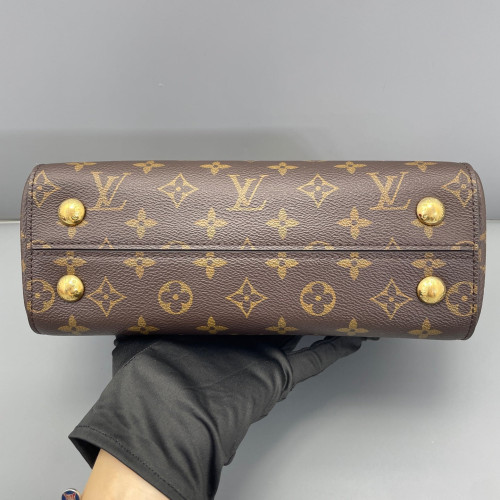 Louis Vuitton Cluny Bb Monogram Brown Pink