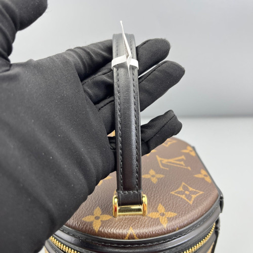 Louis Vuitton Cannes Reverse Monogram Brown Black
