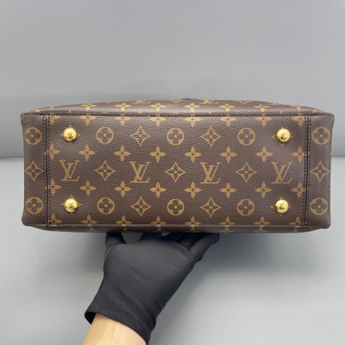 Louis Vuitton Flower Tote Monogram Brown Black