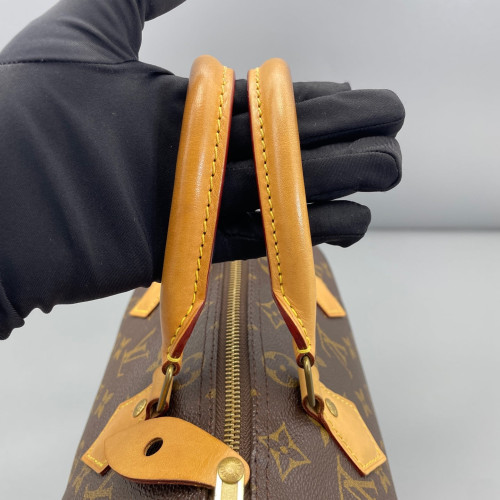 Louis Vuitton Speedy 25 Monogram Brown