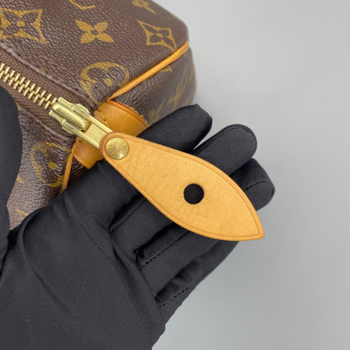 Louis Vuitton Speedy 25 Monogram Brown