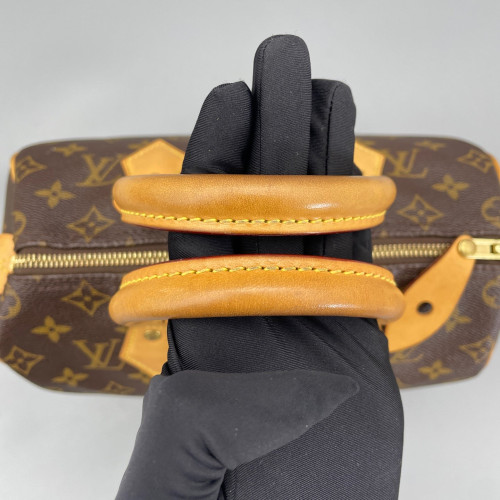 Louis Vuitton Speedy 25 Monogram Brown