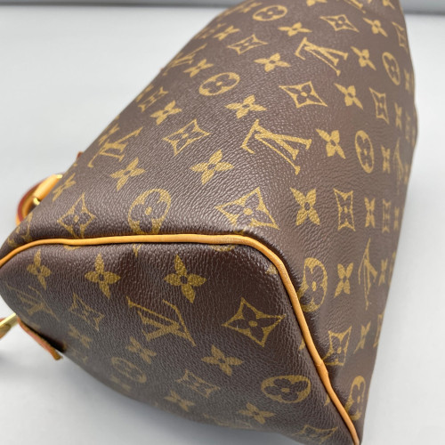 Louis Vuitton Speedy 25 Monogram Brown