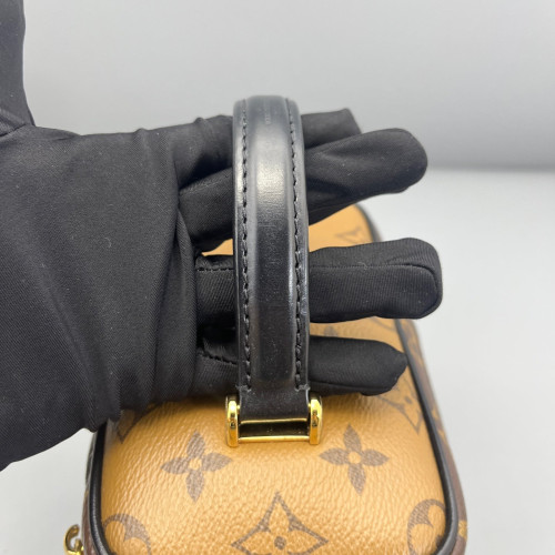 Louis Vuitton Vanity PM Reverse Monogram Brown Black