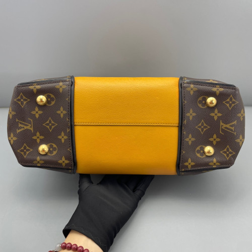 Louis Vuitton Tote Bag Monogram Brown Yellow Black