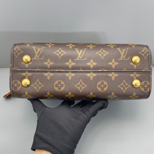 Louis Vuitton Cluny Bb Monogram Brown Pink