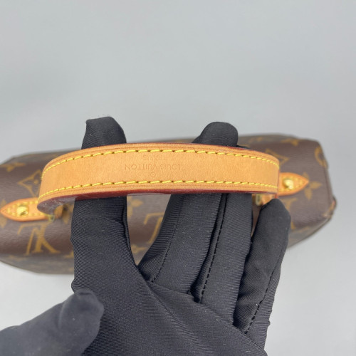 Louis Vuitton Cluny Bb Monogram Brown Pink
