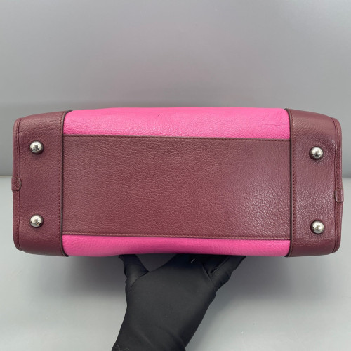 Loewe Amazona 36 Grained Calfskin Rose Burgundy Red Loewe Amazona 36 Grained Calfskin Rose Burgundy Red