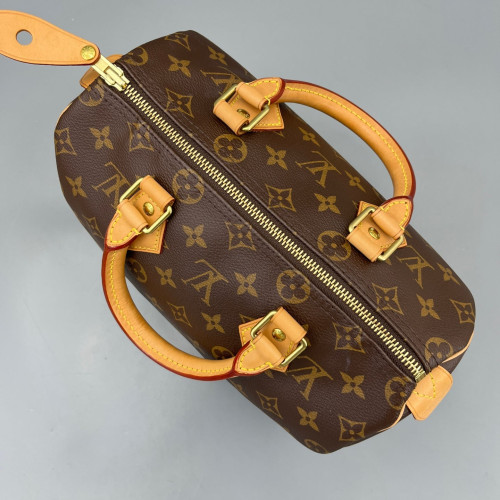 Louis Vuitton Speedy 25 Monogram Brown