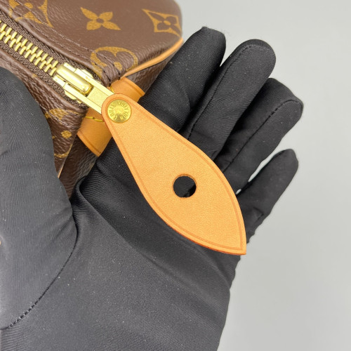 Louis Vuitton Speedy 25 Monogram Brown