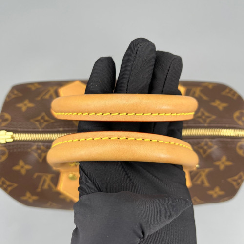 Louis Vuitton Speedy 25 Monogram Brown