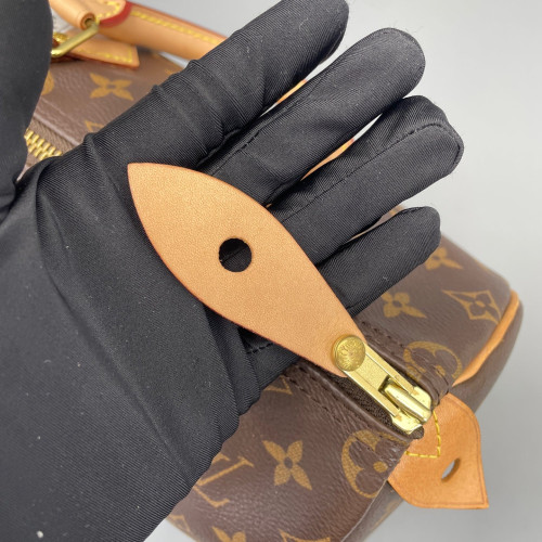 Louis Vuitton Speedy 25 Monogram Brown
